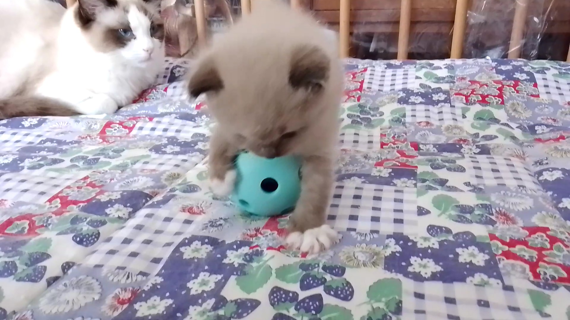 ist das alles mein Spielzeug