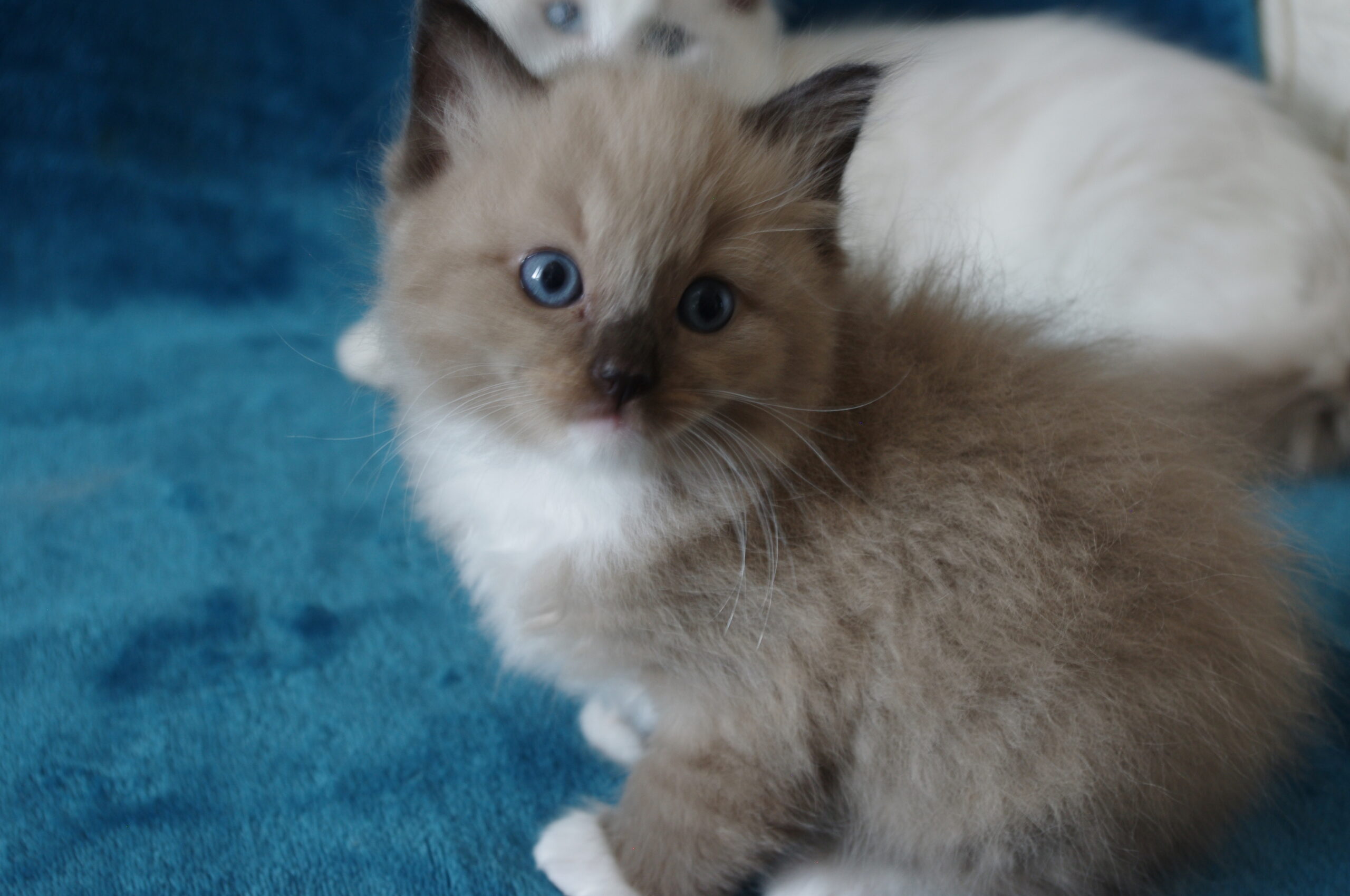 Was ist denn  heute hier los ?