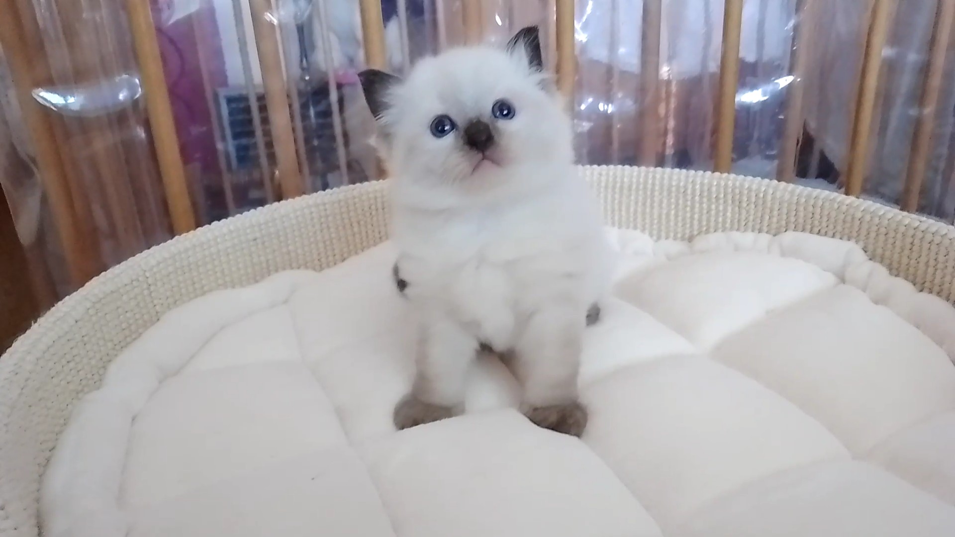 VID_20220606_181250_exported_133