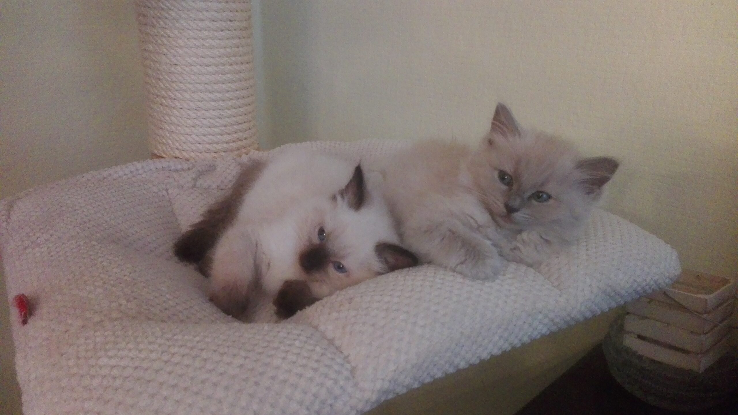 mit meinem lieben Bruder