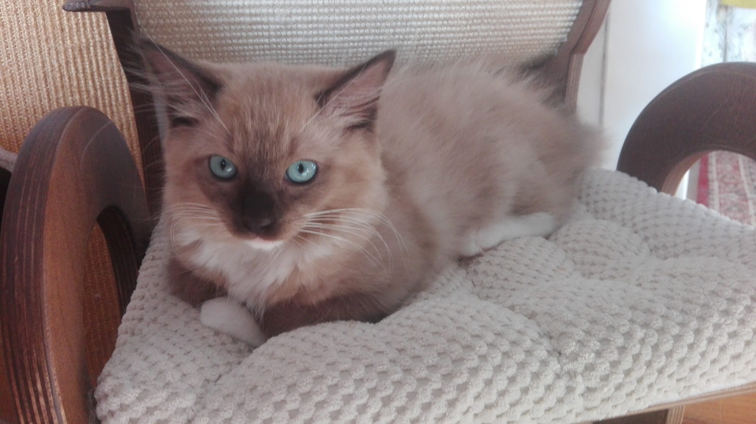 immer diese Paparazzi